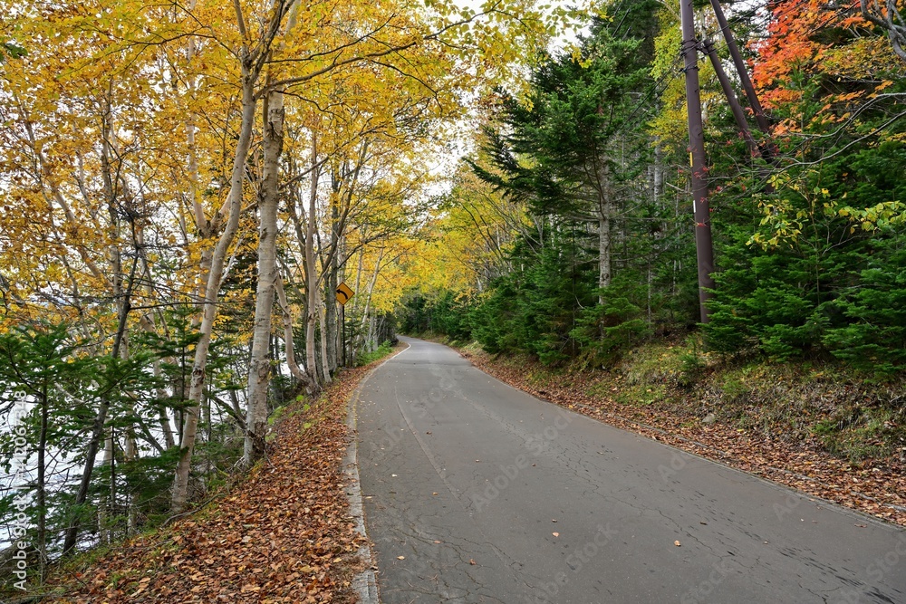 オンネトー湖遊歩道から見たカラフルな紅葉情景＠北海道