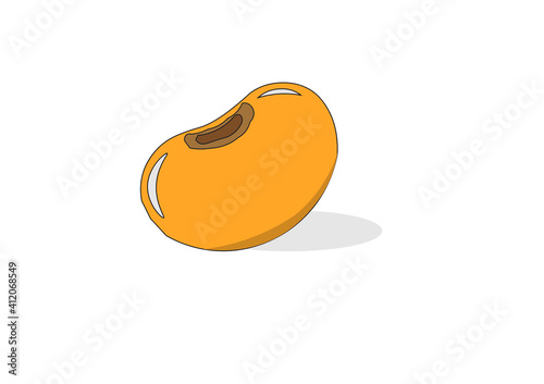 Full plump soybean seeds from organically grown