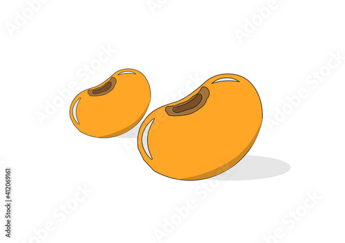 Two plump soybean seeds from organically grown