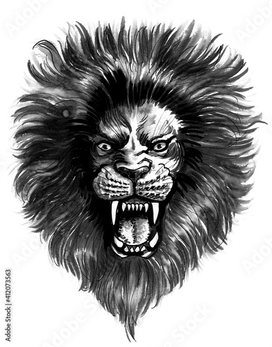 Furious lion head. Ink and watercolor drawing
