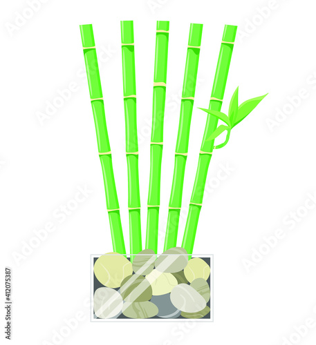 Green bamboo in a glass pot with stones