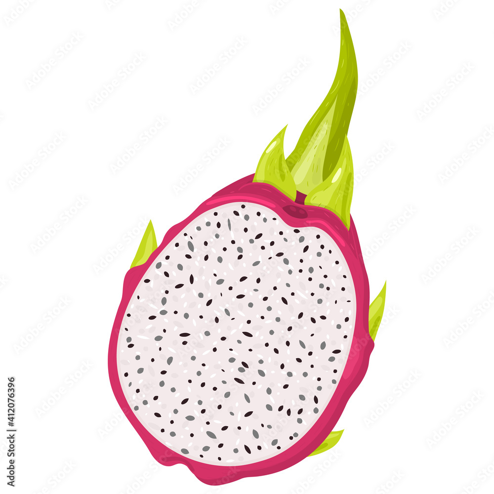 Fresh half cut red pitaya fruits isolated on white background. Summer fruits for healthy lifestyle. Organic fruit. Cartoon style. Vector illustration for any design.
