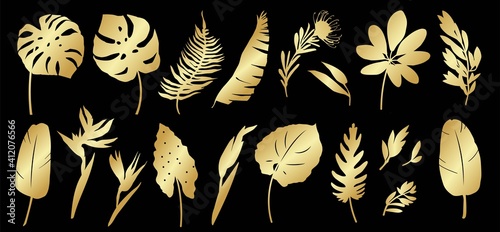Set of golden silhouettes of tropical leaves, palms, plants, flowers, banana plants, monstera, branches. Various golden elements of botanical exotic plants. Vector illustration on black background