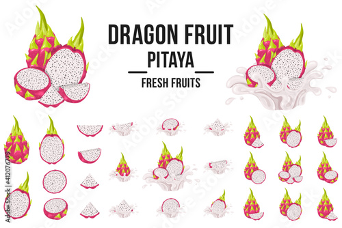 Set of fresh whole, half, cut slice red pitaya fruits isolated on white background. Summer fruits for healthy lifestyle. Organic fruit. Cartoon style. Vector illustration for any design.