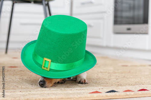 Cute dog with green hat at ...