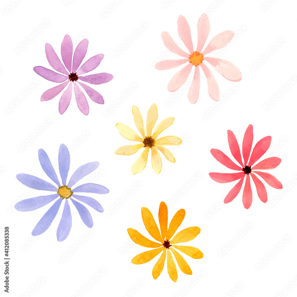 カラフルな花の水彩イラスト