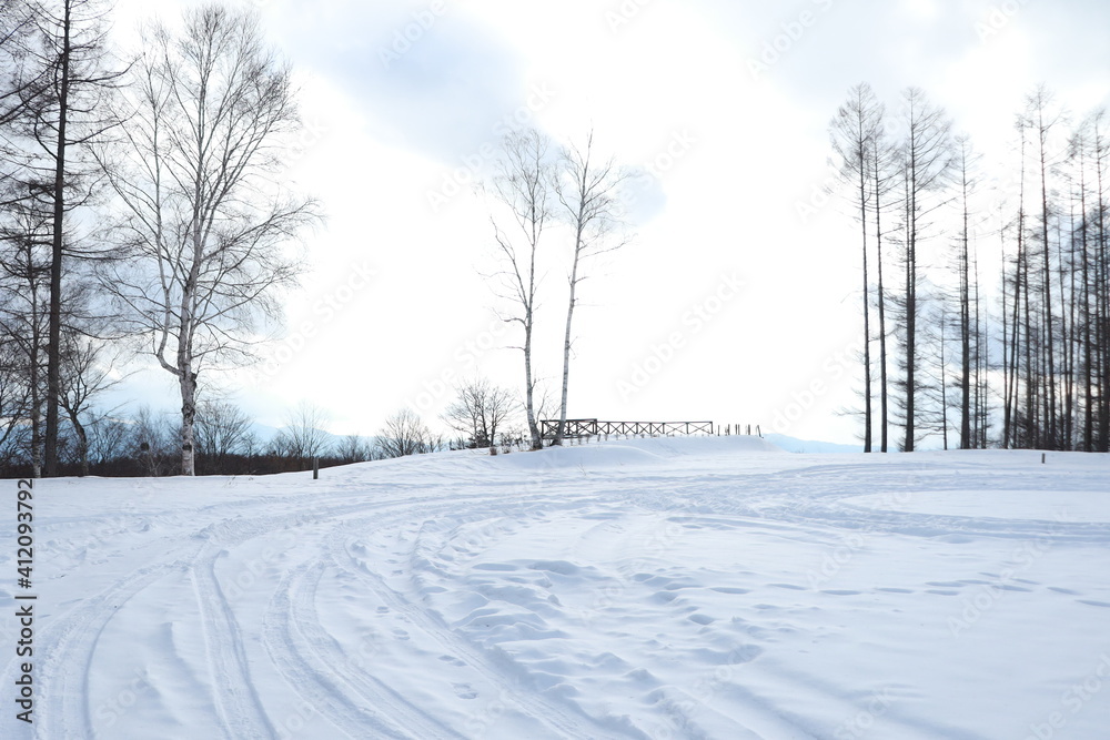 Obraz premium 雪の広場