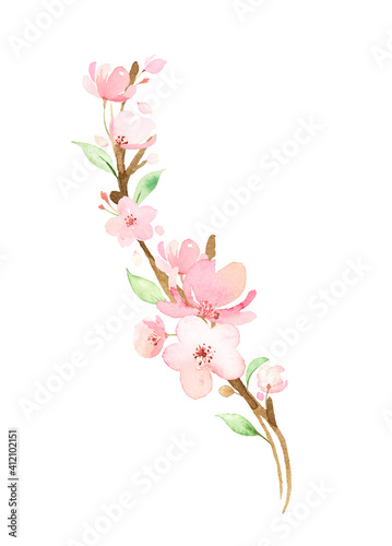手描き水彩 | 桜の枝 イラスト