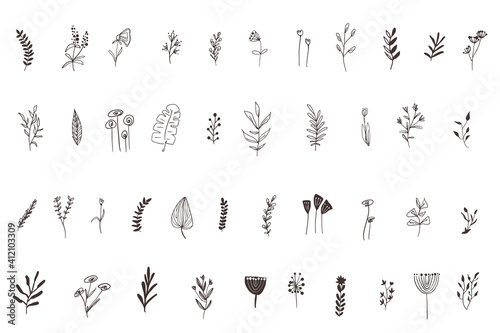 Set of floral elements. Vector illustration.