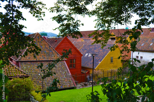 Traditional wooden colorful houses with tile roofs in Bergen, Norway. View under the green crown of the trees in summer day.