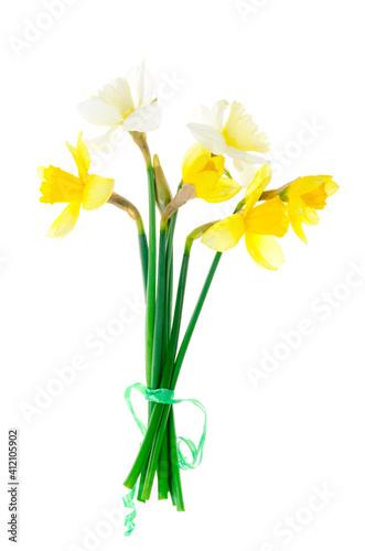 Fototapeta Naklejka Na Ścianę i Meble -  Spring garden daffodils on white background. Photo