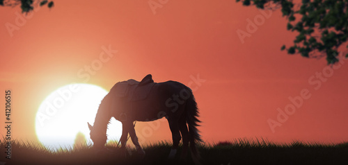 silhouette of a horse in meadow against golden at sunset.