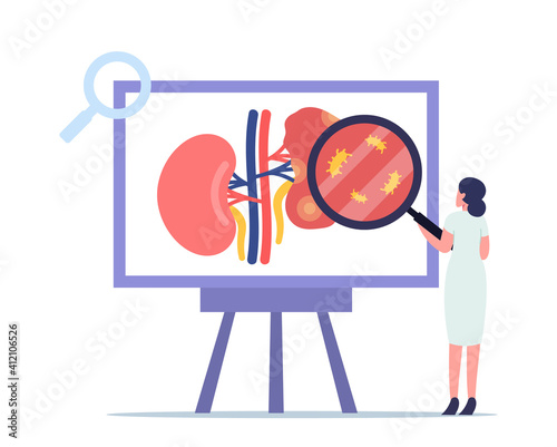 Pyelonephritis, Kidney Healthcare Concept. Tiny Doctor Nephrologist Character Medical Research. Urology and Nephrology