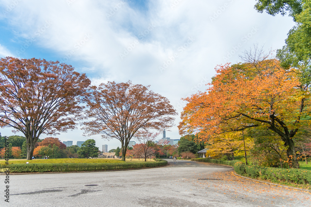 Autumn leaves scenery with Japanese garden in Japan