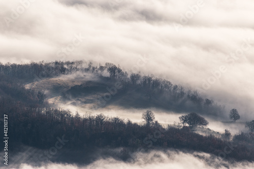 Mist and fog between trees over an hills