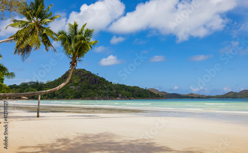 Palm trees on Cote Do'r Beach along the northern tip coast of Praslin island Seychelles