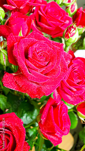 A bouquet of roses on a light background. Mother s Day  Women s Day  Valentine s Day or Birthday.