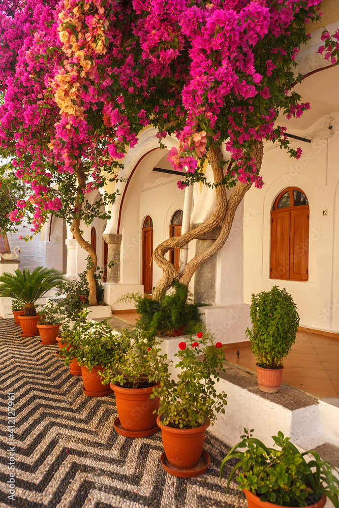 A fragment of a courtyard with flowering trees and potted flowers in the monastery of Panormitis on the island of Simi, Greece.