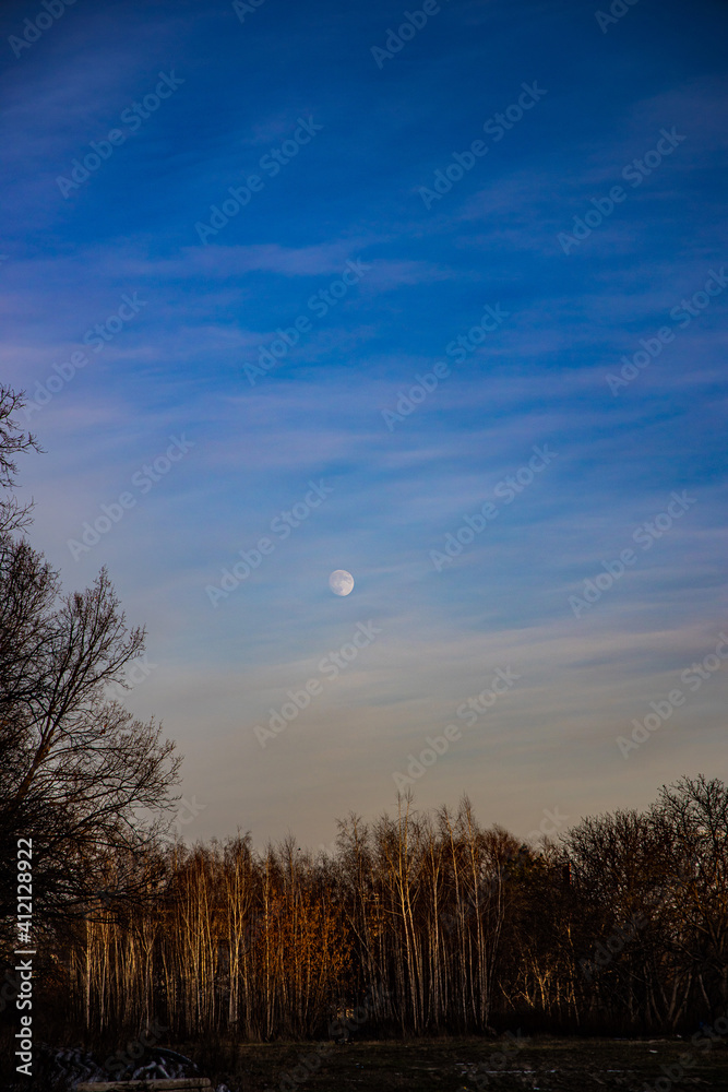 landscape with blue sky, moon and leafless trees landscape with blue sky, moon and leafless trees
