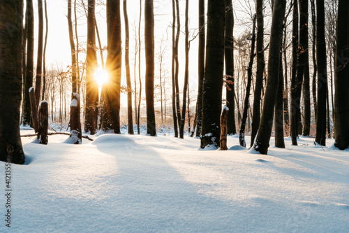 Sonnenaufgang im winterlichen Wald