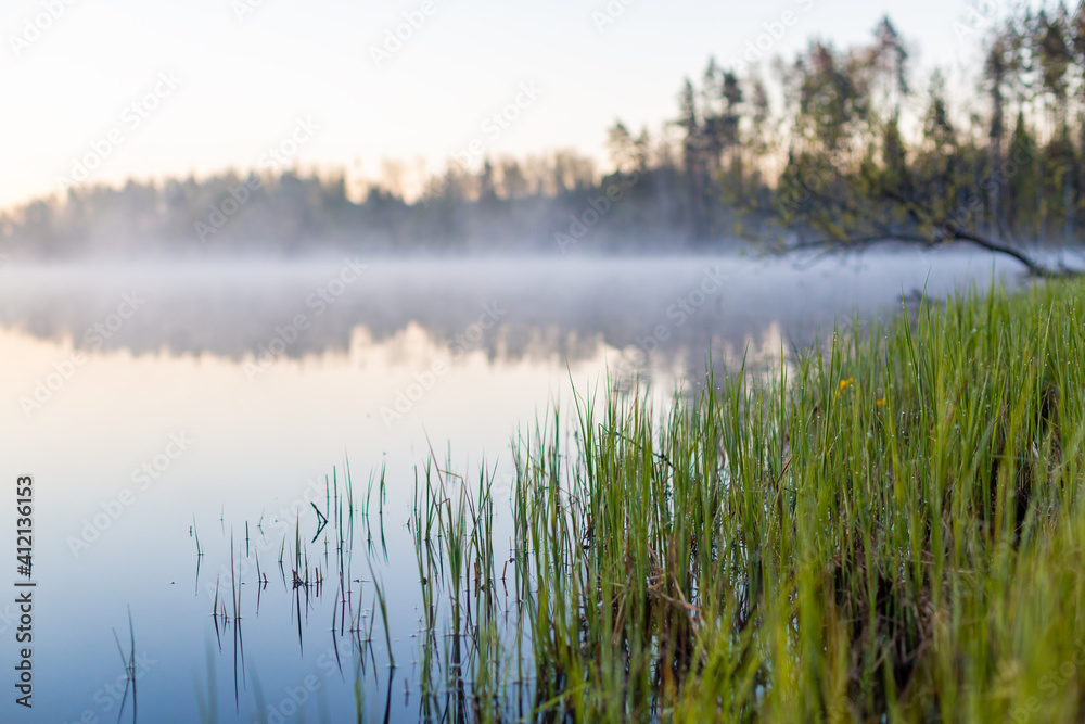 Lake in forest. Picture of nature. Lake in forest. Picture of nature.
