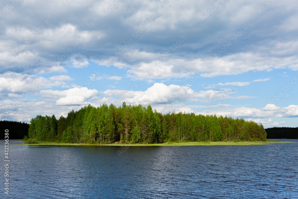 Lake in forest. Picture of nature.