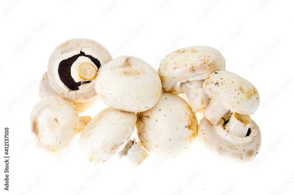 Bunch of fresh champignon mushrooms isolated on white background.