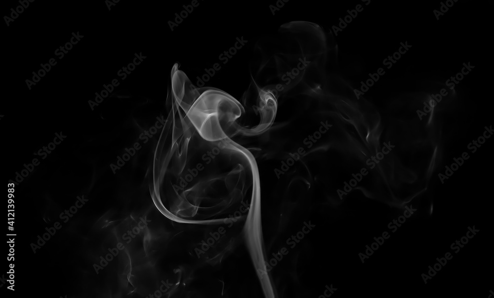 Fototapeta premium swirling movement of white smoke group, abstract line Isolated on black background