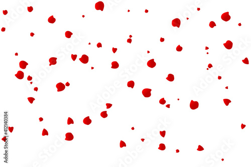 Falling Rose Petals Isolated On White Background. Vector