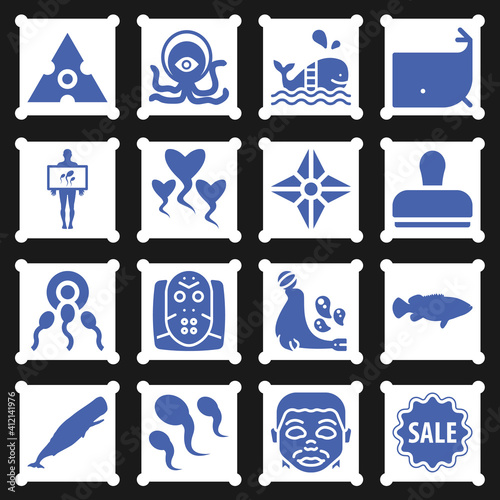 16 pack of whale  filled web icons set