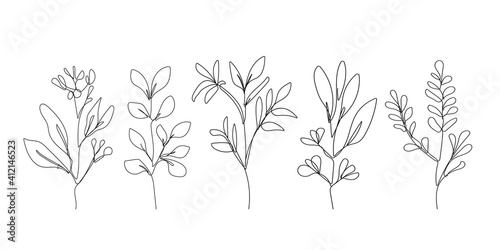 Line Drawing Set Of Plants Black Sketch Isolated on White Background. Flowers One Line Illustrations Set. Botanical Minimalist Design. Vector EPS 10.