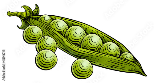 Sweet peas and pod vegetable illustration in a vintage retro woodcut etching style.