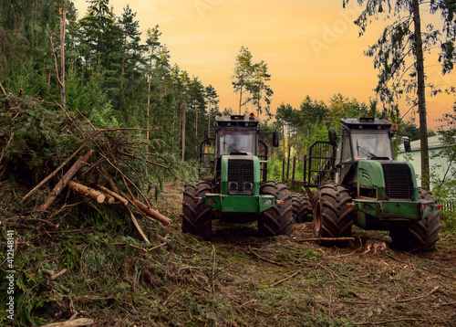 Crane forwarder machines at during clearing of a plantation. Wheeled harvester transports raw timber from the felling site out to a road for collection by a truck. Harvesters, forest Logging machines