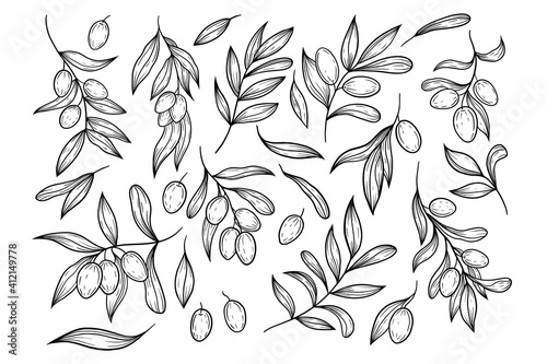 Hand drawn vector olive branch illustration. Isolated black linework olives clipart. Olives elements set. Graphic olives.