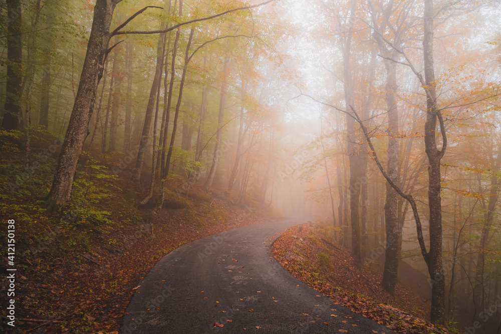 Obraz premium A peaceful colourful ethereal autumn scene on a foggy empty forest road in Plitvice Lakes National Park, Croatia.