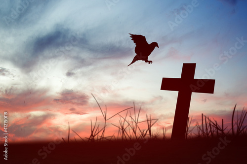 Christian Cross and silhouette of pigeon