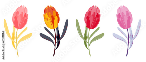 Vector spring or summer flowers. Flat tulips set multicolor. Hand-drawn design elements for easter  mother s day  woman s day  8 march greeting cards