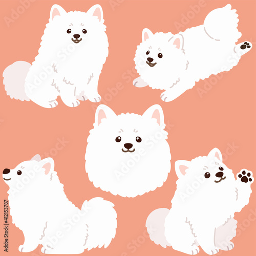 Flat colored simple and adorable Japanese Spitz illustrations set