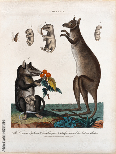 Georgian copperplate print