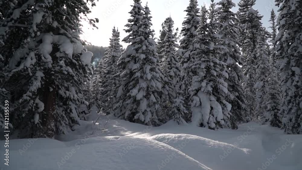 travel along the banks of a mountain river in winter travel along the banks of a mountain river in winter