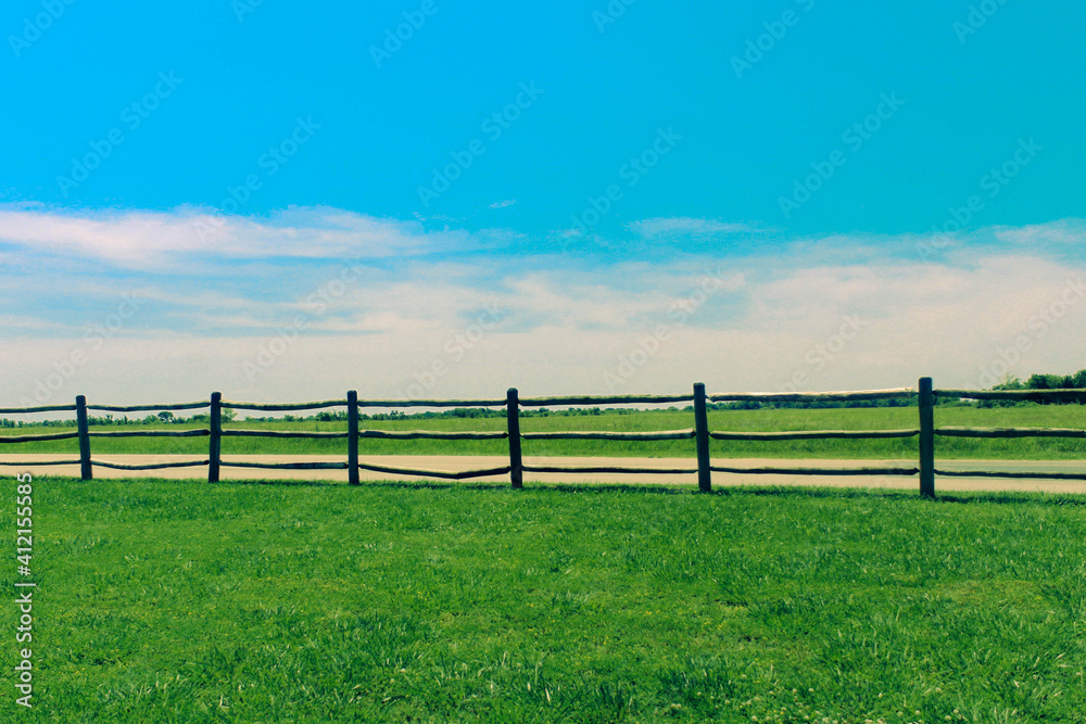 fence and green field