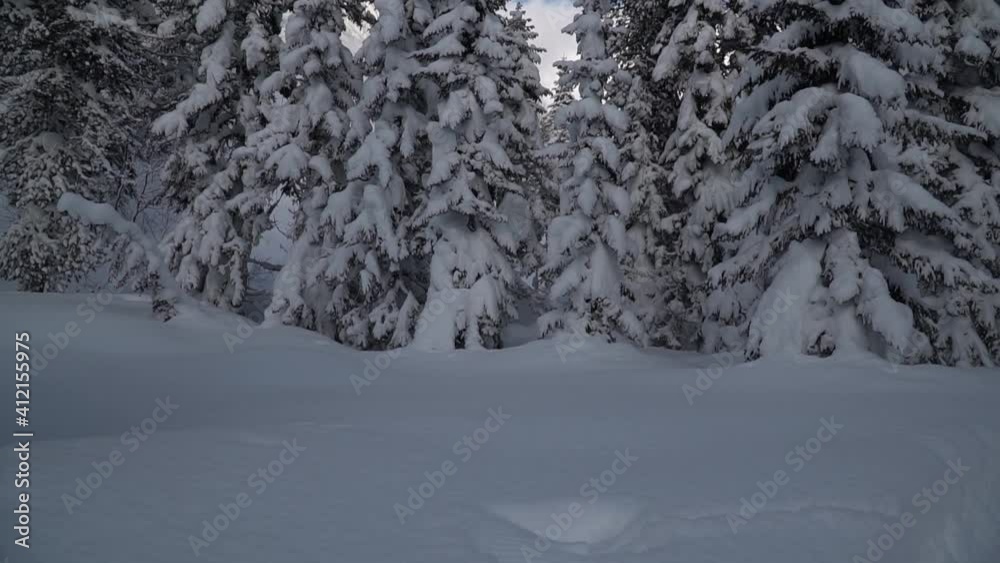 travel along the banks of a mountain river in winter travel along the banks of a mountain river in winter