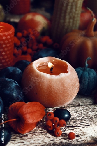 autumn still life with pumpkin