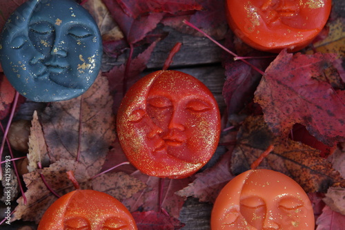 autumn leaves on a wooden background