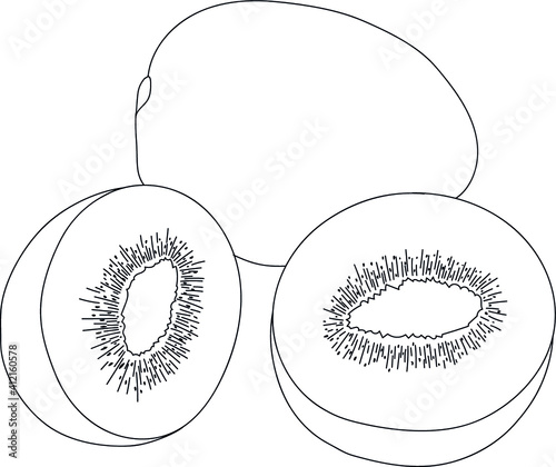kiwi
