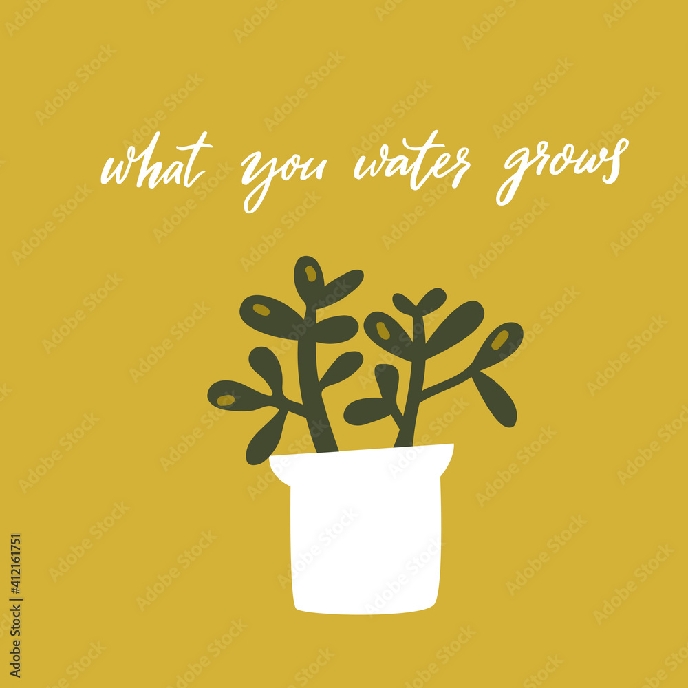 What you water grows. Inspirational quote, handwritten wisdom. Hand