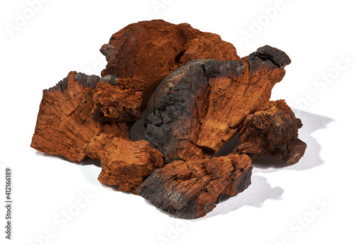 Natural chaga mushroom pieces isolated on a white background with cliping path without shadow. Inonotus Obliquus is a medical plant.
 photo