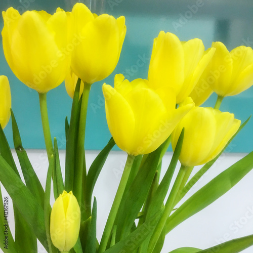 A bouquet of yellow tulips.
