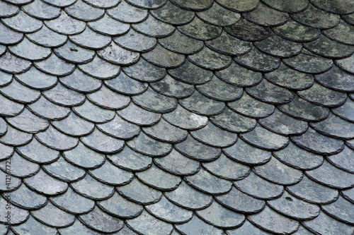 Dark roofing texture. Black wet roof tiles. Abstract background photo