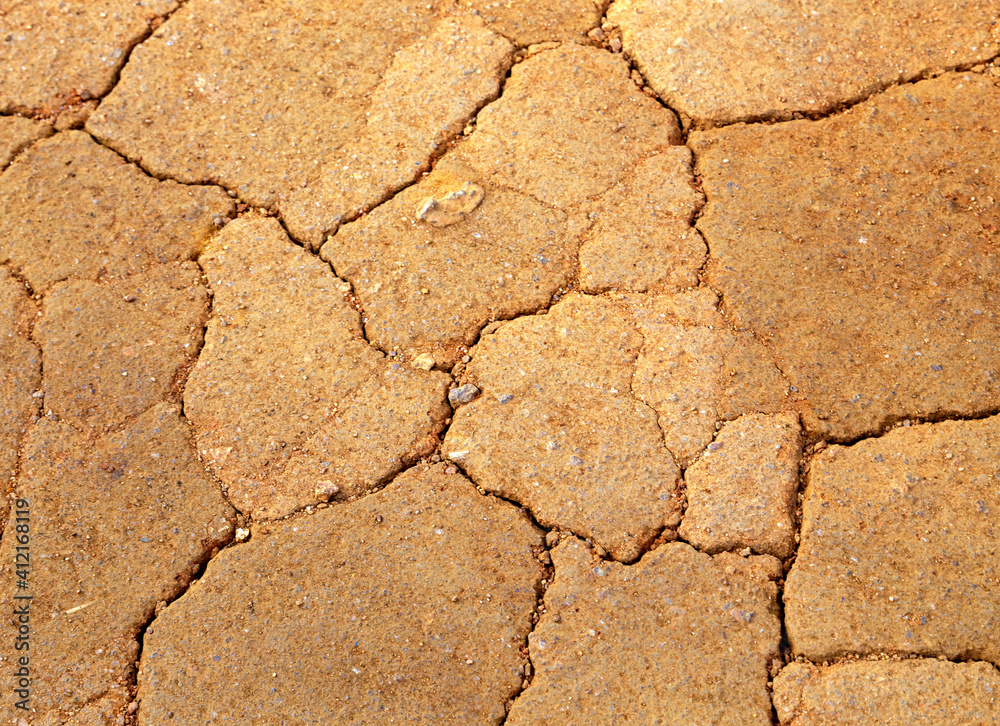 Desert cracked earth